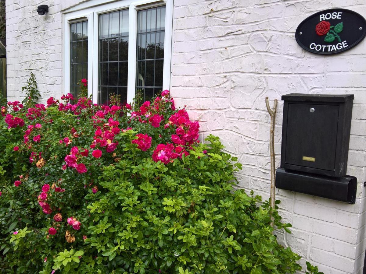 צ'ארד Rose Cottage מראה חיצוני תמונה